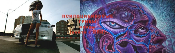 гидра Медвежьегорск