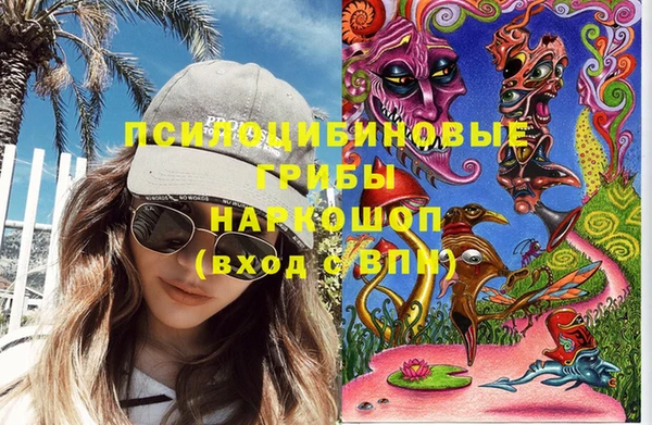 бошки Мегион