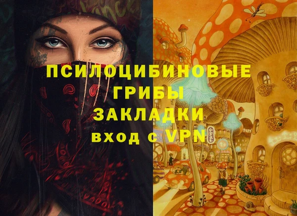 гидра Медвежьегорск