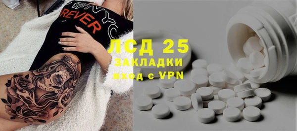 гидра Медвежьегорск