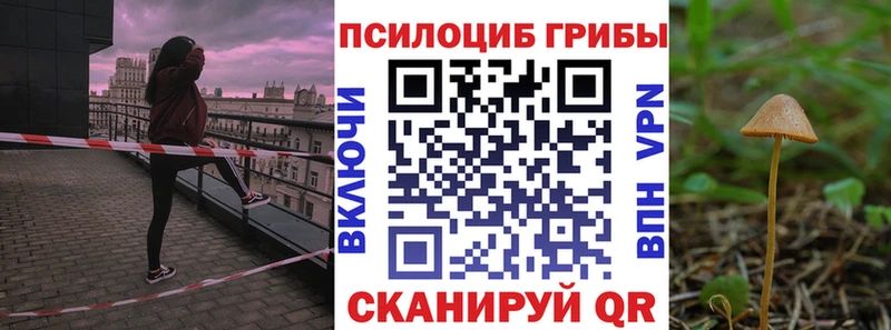 Псилоцибиновые грибы GOLDEN TEACHER  где купить   Усмань 